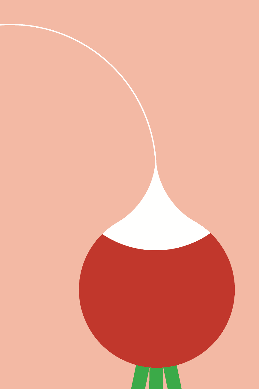 Radish